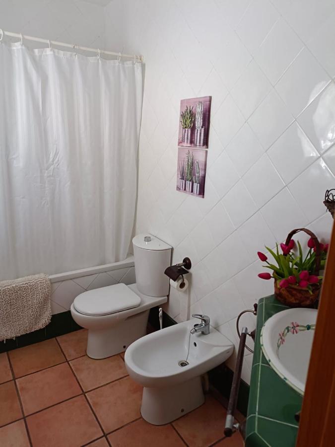 Chalet Trinquet Vinarós Ngoại thất bức ảnh